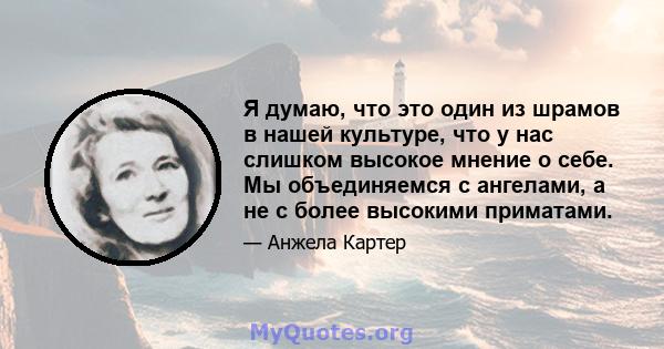 Я думаю, что это один из шрамов в нашей культуре, что у нас слишком высокое мнение о себе. Мы объединяемся с ангелами, а не с более высокими приматами.