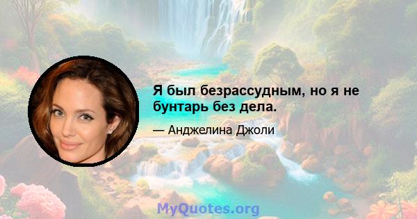 Я был безрассудным, но я не бунтарь без дела.