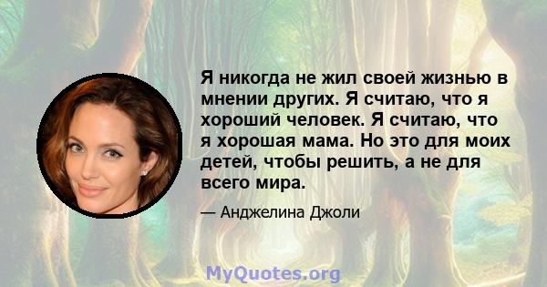 Я никогда не жил своей жизнью в мнении других. Я считаю, что я хороший человек. Я считаю, что я хорошая мама. Но это для моих детей, чтобы решить, а не для всего мира.