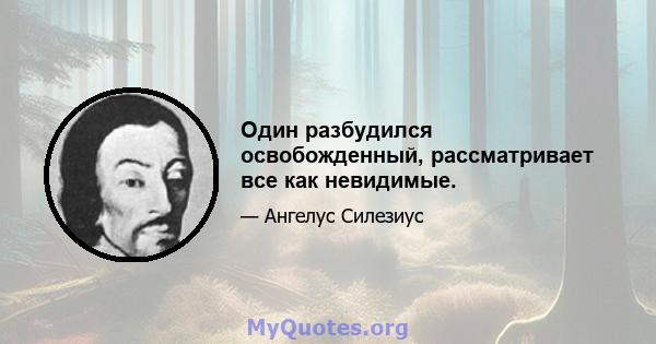 Один разбудился освобожденный, рассматривает все как невидимые.