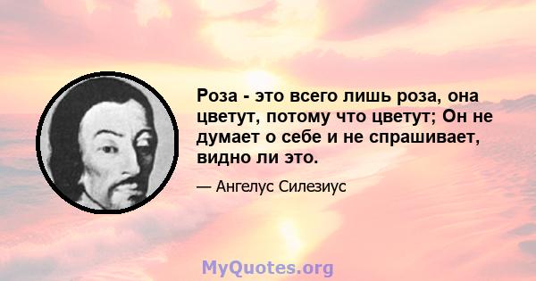 Роза - это всего лишь роза, она цветут, потому что цветут; Он не думает о себе и не спрашивает, видно ли это.