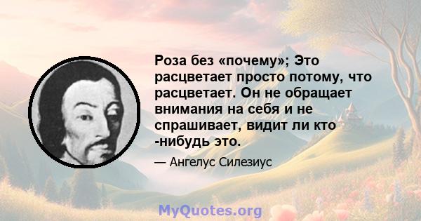 Роза без «почему»; Это расцветает просто потому, что расцветает. Он не обращает внимания на себя и не спрашивает, видит ли кто -нибудь это.