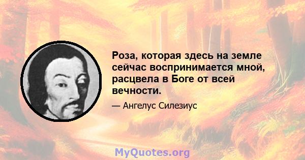 Роза, которая здесь на земле сейчас воспринимается мной, расцвела в Боге от всей вечности.