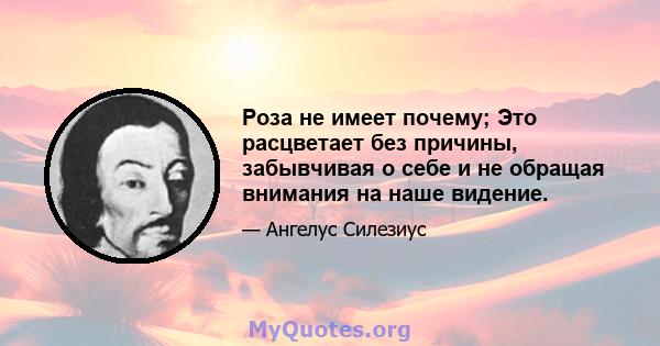 Роза не имеет почему; Это расцветает без причины, забывчивая о себе и не обращая внимания на наше видение.