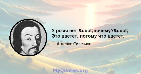 У розы нет "почему?" Это цветет, потому что цветет.