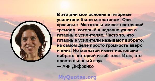 В эти дни мои основные гитарные усилители были магнатоном. Они красивые. Маггатоны имеют настоящий тремоло, который я недавно узнал о гитарных усилителях. Часто то, что гитарные усилители называют вибрато, на самом деле 