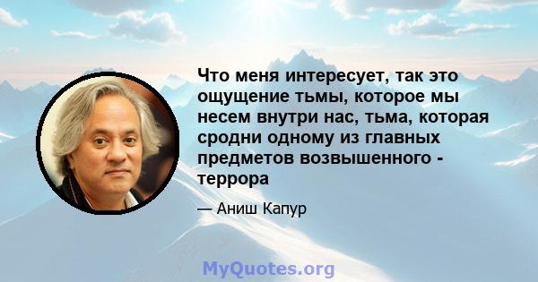 Что меня интересует, так это ощущение тьмы, которое мы несем внутри нас, тьма, которая сродни одному из главных предметов возвышенного - террора