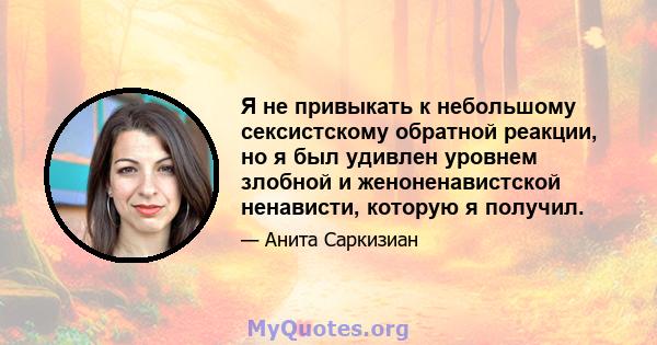 Я не привыкать к небольшому сексистскому обратной реакции, но я был удивлен уровнем злобной и женоненавистской ненависти, которую я получил.