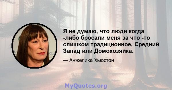 Я не думаю, что люди когда -либо бросали меня за что -то слишком традиционное, Средний Запад или Домохозяйка.