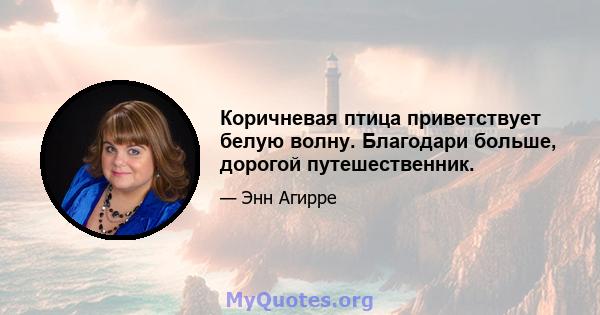 Коричневая птица приветствует белую волну. Благодари больше, дорогой путешественник.