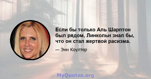 Если бы только Аль Шарптон был рядом, Линкольн знал бы, что он стал жертвой расизма.