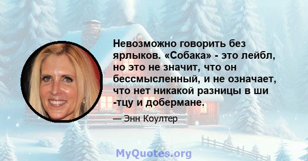 Невозможно говорить без ярлыков. «Собака» - это лейбл, но это не значит, что он бессмысленный, и не означает, что нет никакой разницы в ши -тцу и добермане.