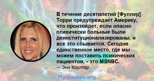 В течение десятилетий [Фуллер] Торри предупреждает Америку, что произойдет, если опасно психически больные были деинституционализированы, и все это сбывается. Сегодня единственное место, где мы можем поставить