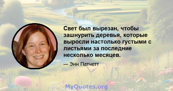 Свет был вырезан, чтобы зашнурить деревья, которые выросли настолько густыми с листьями за последние несколько месяцев.