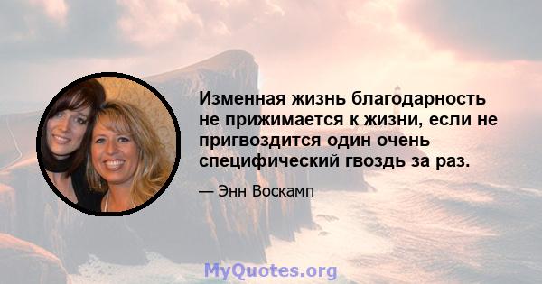 Изменная жизнь благодарность не прижимается к жизни, если не пригвоздится один очень специфический гвоздь за раз.