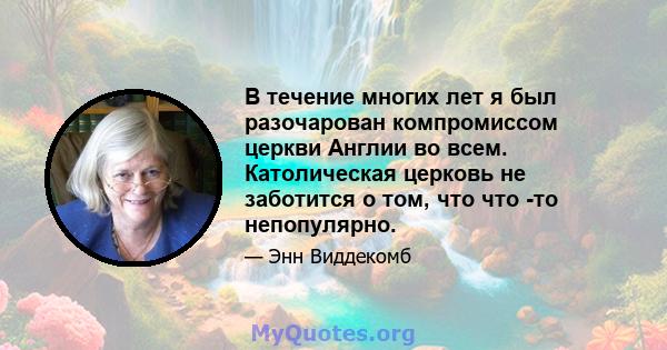 В течение многих лет я был разочарован компромиссом церкви Англии во всем. Католическая церковь не заботится о том, что что -то непопулярно.