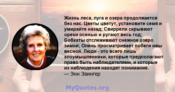 Жизнь леса, луга и озера продолжается без нас. Цветы цветут, установите семя и умирайте назад; Свиррели скрывают орехи осенью и ругают весь год; Бобкаты отслеживают снежное озеро зимой; Олень просматривает побеги ивы