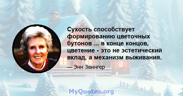 Сухость способствует формированию цветочных бутонов ... в конце концов, цветение - это не эстетический вклад, а механизм выживания.