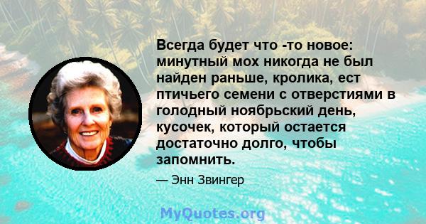 Всегда будет что -то новое: минутный мох никогда не был найден раньше, кролика, ест птичьего семени с отверстиями в голодный ноябрьский день, кусочек, который остается достаточно долго, чтобы запомнить.