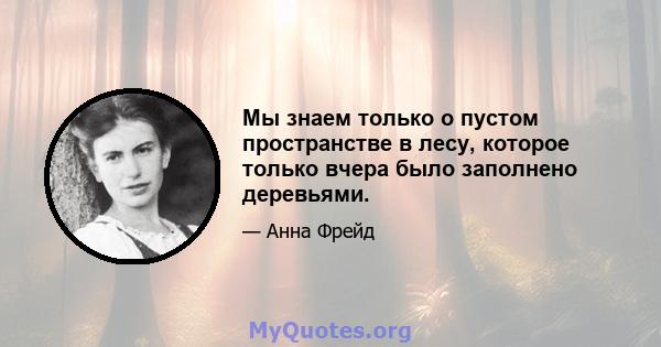 Мы знаем только о пустом пространстве в лесу, которое только вчера было заполнено деревьями.