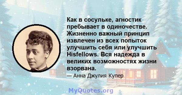 Как в сосульке, агностик пребывает в одиночестве. Жизненно важный принцип извлечен из всех попыток улучшить себя или улучшить Hisfellows. Вся надежда в великих возможностях жизни взорвана.