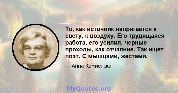 То, как источник напрягается к свету, к воздуху. Его трудящаяся работа, его усилия, черные проходы, как отчаяние. Так ищет поэт. С мышцами, жестами.