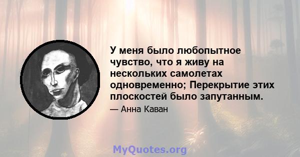 У меня было любопытное чувство, что я живу на нескольких самолетах одновременно; Перекрытие этих плоскостей было запутанным.