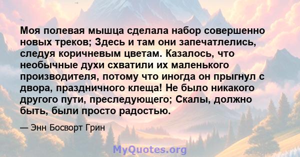 Моя полевая мышца сделала набор совершенно новых треков; Здесь и там они запечатлелись, следуя коричневым цветам. Казалось, что необычные духи схватили их маленького производителя, потому что иногда он прыгнул с двора,