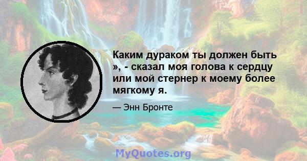 Каким дураком ты должен быть », - сказал моя голова к сердцу или мой стернер к моему более мягкому я.