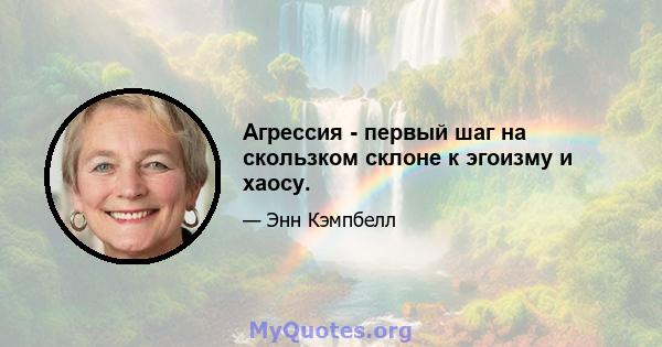 Агрессия - первый шаг на скользком склоне к эгоизму и хаосу.