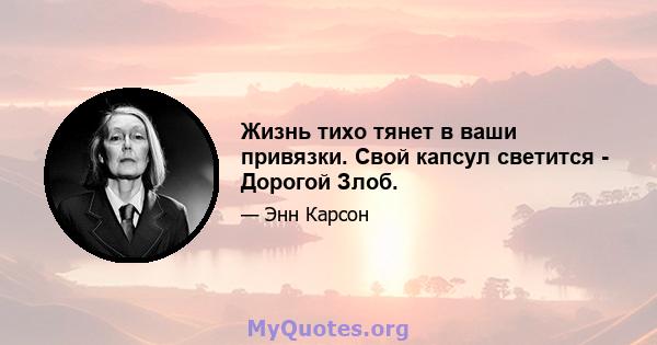 Жизнь тихо тянет в ваши привязки. Свой капсул светится - Дорогой Злоб.