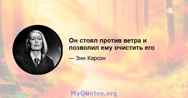 Он стоял против ветра и позволил ему очистить его