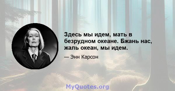 Здесь мы идем, мать в безрудном океане. Бжань нас, жаль океан, мы идем.