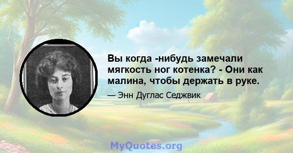 Вы когда -нибудь замечали мягкость ног котенка? - Они как малина, чтобы держать в руке.