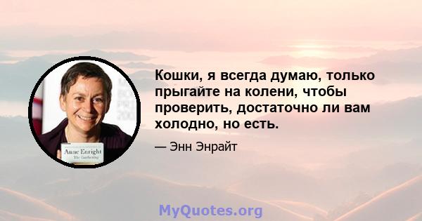 Кошки, я всегда думаю, только прыгайте на колени, чтобы проверить, достаточно ли вам холодно, но есть.