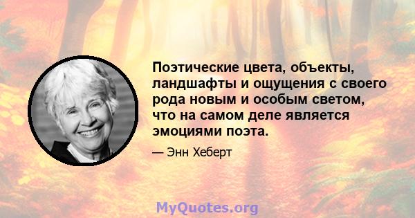 Поэтические цвета, объекты, ландшафты и ощущения с своего рода новым и особым светом, что на самом деле является эмоциями поэта.