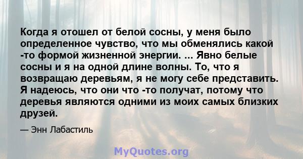 Когда я отошел от белой сосны, у меня было определенное чувство, что мы обменялись какой -то формой жизненной энергии. ... Явно белые сосны и я на одной длине волны. То, что я возвращаю деревьям, я не могу себе