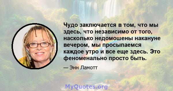 Чудо заключается в том, что мы здесь, что независимо от того, насколько недомошены накануне вечером, мы просыпаемся каждое утро и все еще здесь. Это феноменально просто быть.