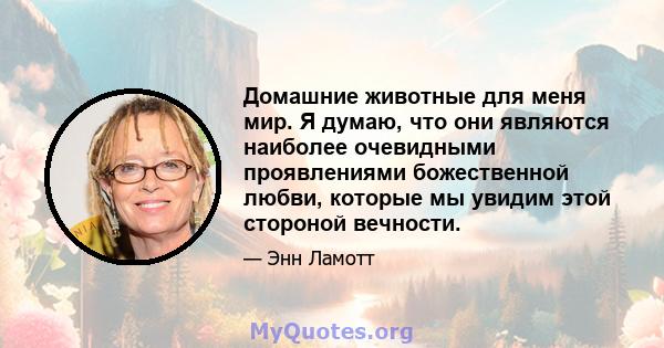 Домашние животные для меня мир. Я думаю, что они являются наиболее очевидными проявлениями божественной любви, которые мы увидим этой стороной вечности.