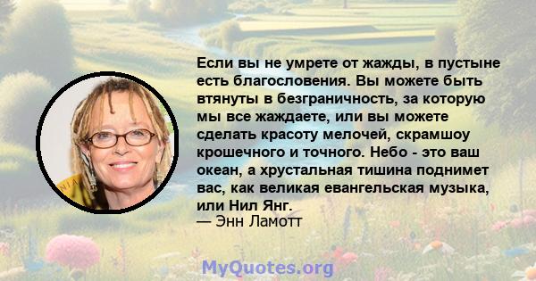 Если вы не умрете от жажды, в пустыне есть благословения. Вы можете быть втянуты в безграничность, за которую мы все жаждаете, или вы можете сделать красоту мелочей, скрамшоу крошечного и точного. Небо - это ваш океан,