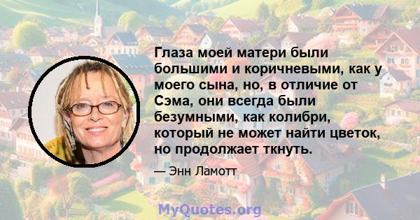 Глаза моей матери были большими и коричневыми, как у моего сына, но, в отличие от Сэма, они всегда были безумными, как колибри, который не может найти цветок, но продолжает ткнуть.