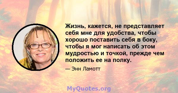 Жизнь, кажется, не представляет себя мне для удобства, чтобы хорошо поставить себя в боку, чтобы я мог написать об этом мудростью и точкой, прежде чем положить ее на полку.