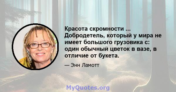 Красота скромности ... Добродетель, который у мира не имеет большого грузовика с: один обычный цветок в вазе, в отличие от букета.