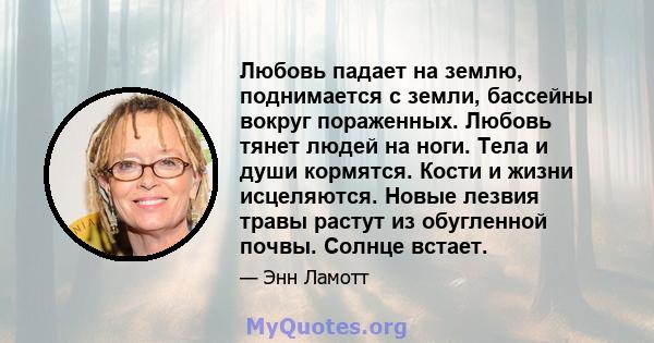 Любовь падает на землю, поднимается с земли, бассейны вокруг пораженных. Любовь тянет людей на ноги. Тела и души кормятся. Кости и жизни исцеляются. Новые лезвия травы растут из обугленной почвы. Солнце встает.