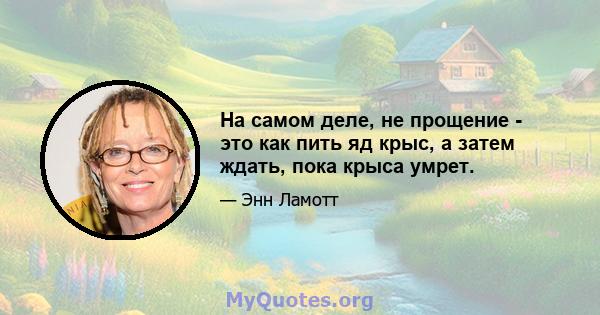 На самом деле, не прощение - это как пить яд крыс, а затем ждать, пока крыса умрет.