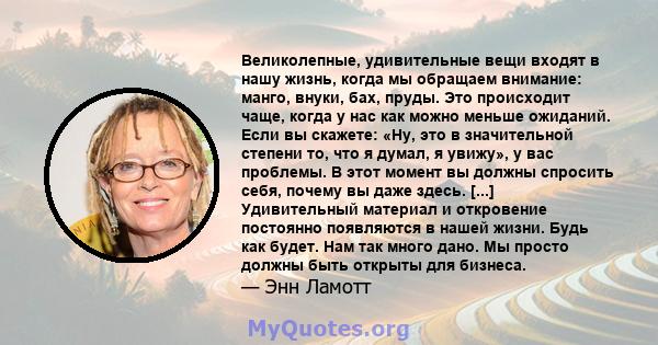 Великолепные, удивительные вещи входят в нашу жизнь, когда мы обращаем внимание: манго, внуки, бах, пруды. Это происходит чаще, когда у нас как можно меньше ожиданий. Если вы скажете: «Ну, это в значительной степени то, 