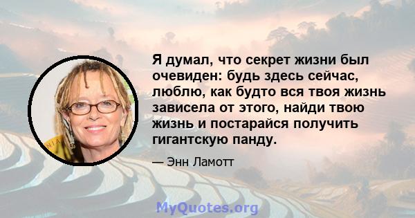 Я думал, что секрет жизни был очевиден: будь здесь сейчас, люблю, как будто вся твоя жизнь зависела от этого, найди твою жизнь и постарайся получить гигантскую панду.