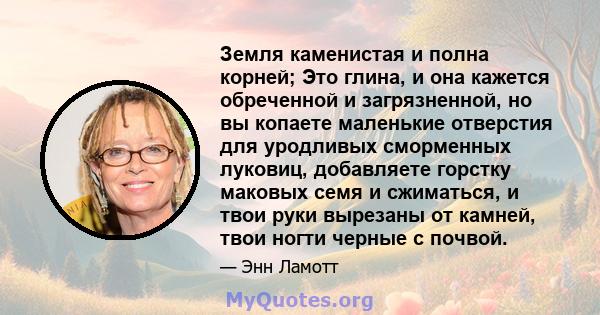 Земля каменистая и полна корней; Это глина, и она кажется обреченной и загрязненной, но вы копаете маленькие отверстия для уродливых сморменных луковиц, добавляете горстку маковых семя и сжиматься, и твои руки вырезаны