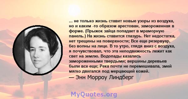 ... не только жизнь ставит новые узоры из воздуха, но и каким -то образом арестован, замороженная в форме. (Прыжок зайца попадает в мраморную панель.) На жизнь ставится глазурь. Нет недостатка, нет трещины на