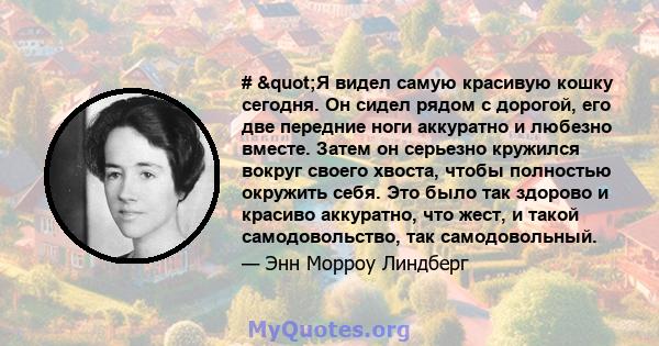 # "Я видел самую красивую кошку сегодня. Он сидел рядом с дорогой, его две передние ноги аккуратно и любезно вместе. Затем он серьезно кружился вокруг своего хвоста, чтобы полностью окружить себя. Это было так